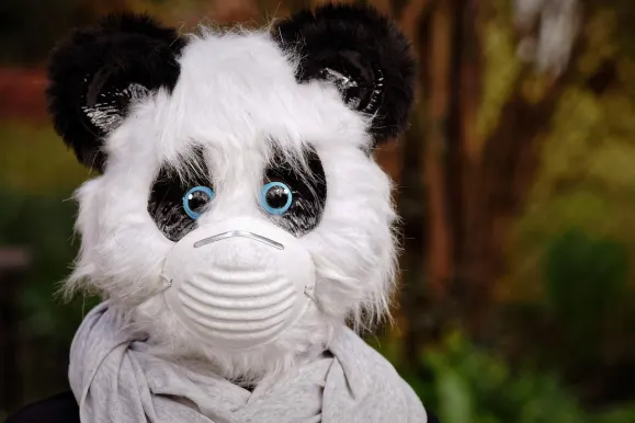 HeySpin Casino Soporte